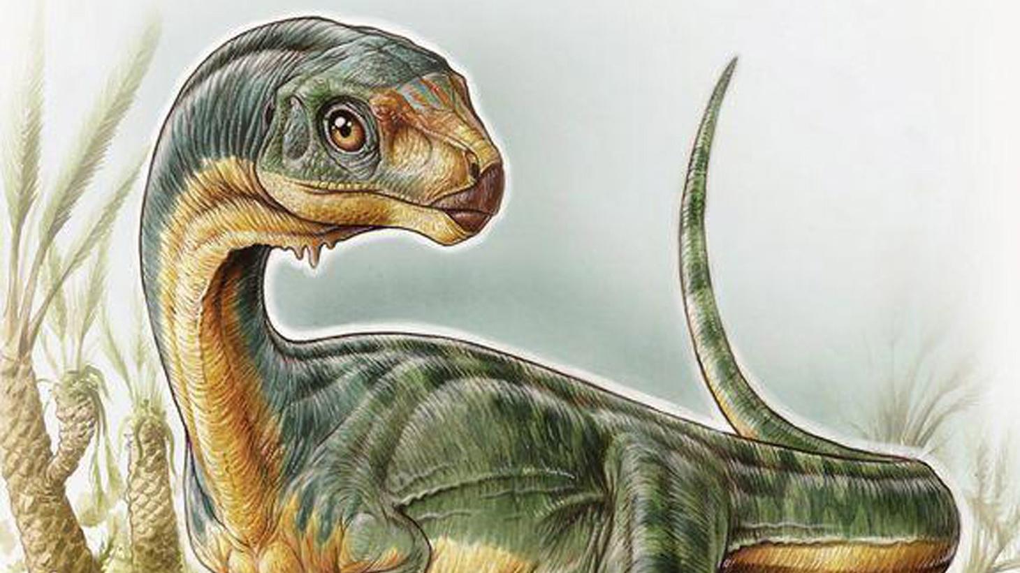 Chilesaurus diegosuarezi (Ilustración: Gabriel Lio)