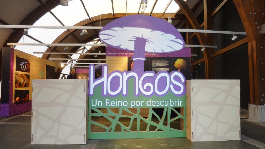 Exposición «Hongos, un Reino por descubrir» en Valdivia