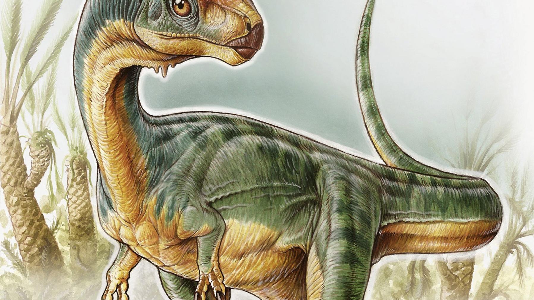 Chilesaurus diegosuarezi (Ilustración: Gabriel Lio)