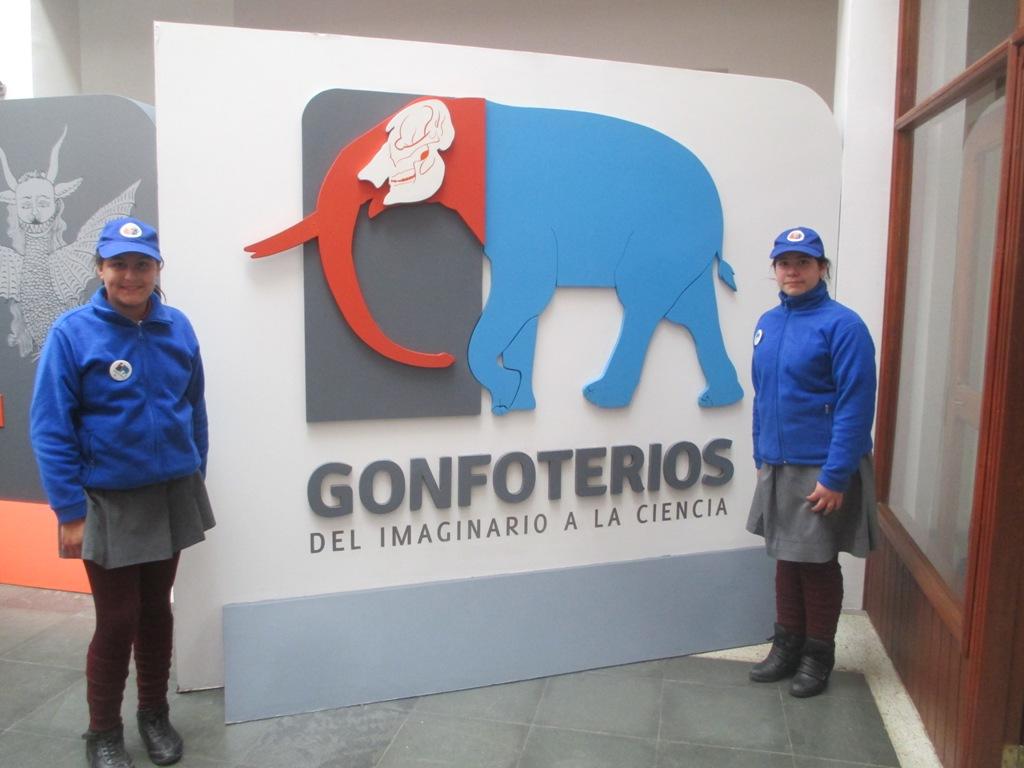 Inauguración Itinerancia Gonfoterios - Puerto Montt 2015